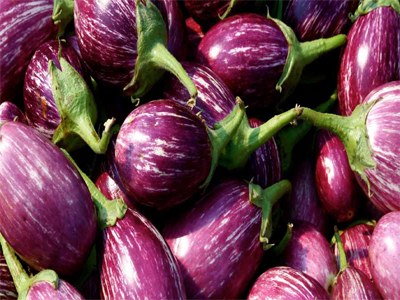 Brinjal