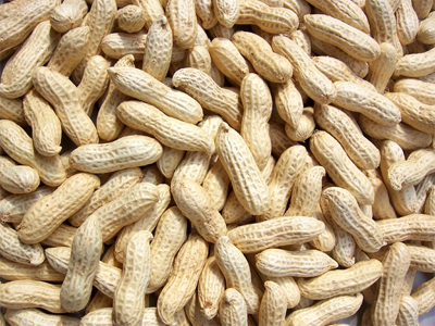 Ground Nuts