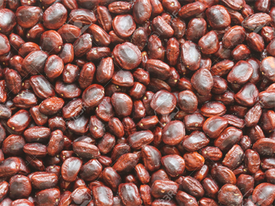 Tamarind Seeds